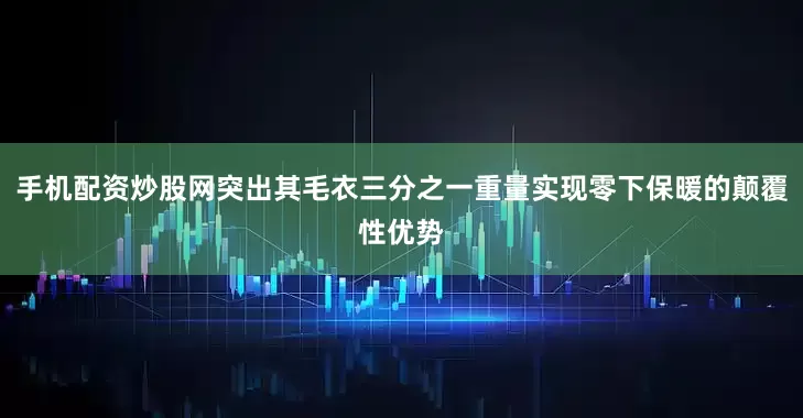 手机配资炒股网突出其毛衣三分之一重量实现零下保暖的颠覆性优势