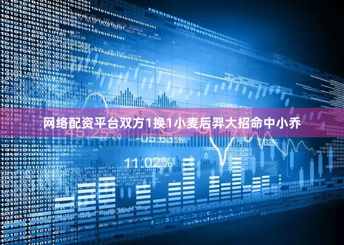 网络配资平台双方1换1小麦后羿大招命中小乔